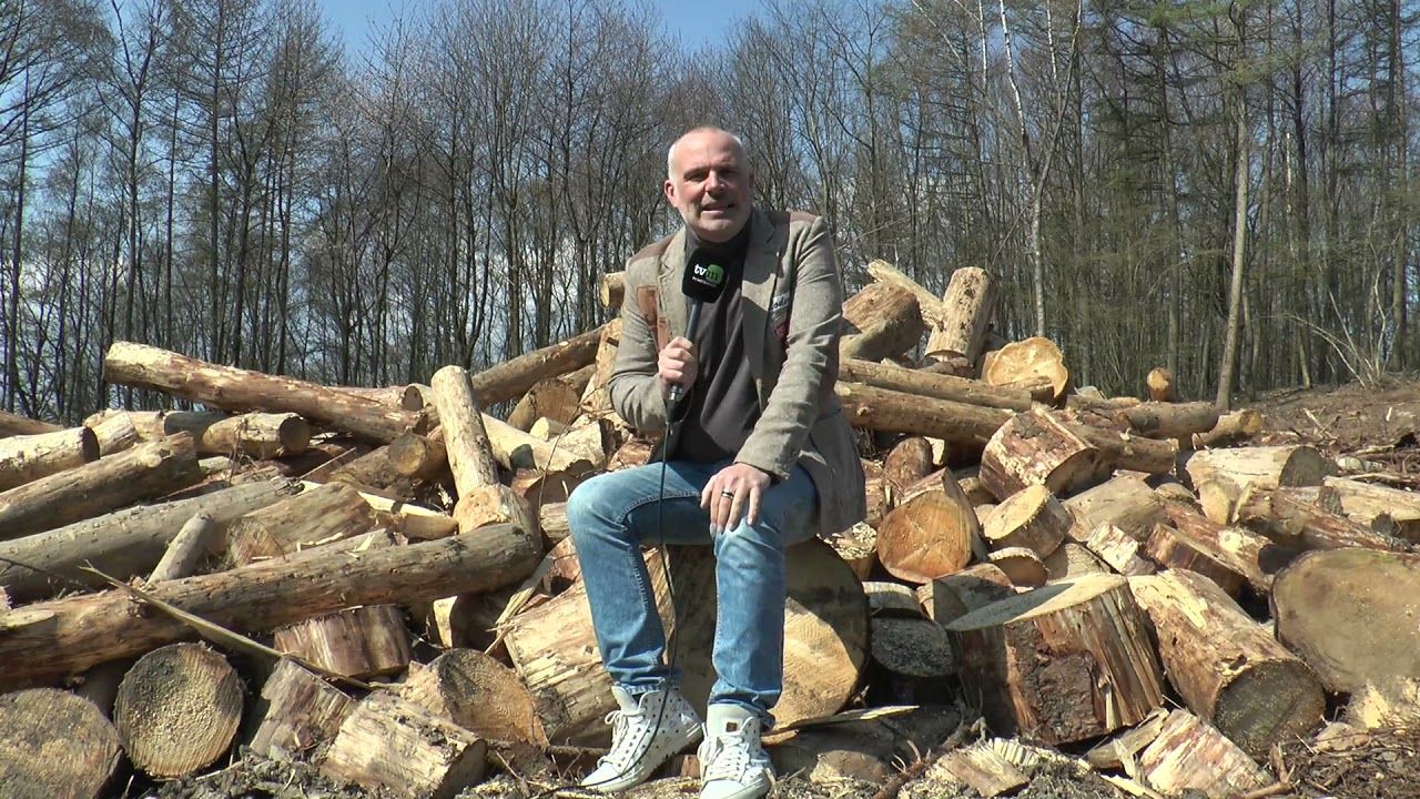 „Schnipseljagd“: Wo ist Mario Specht?