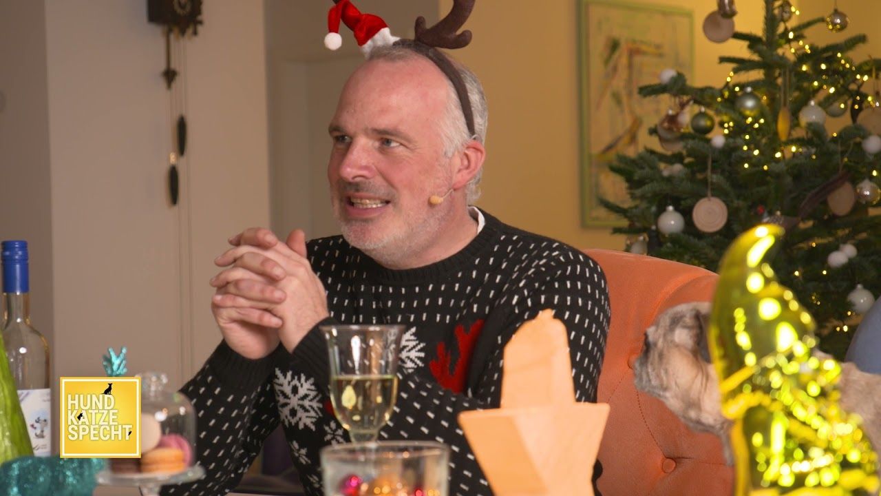 Hund Katze Specht | 26.12.2021