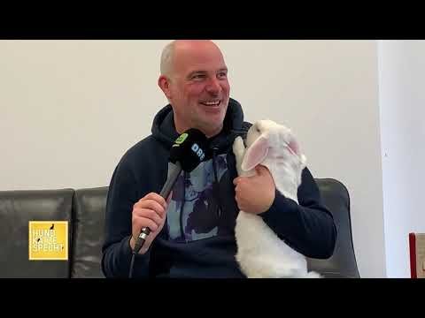 Neue Folge: „Hund Katze Specht“