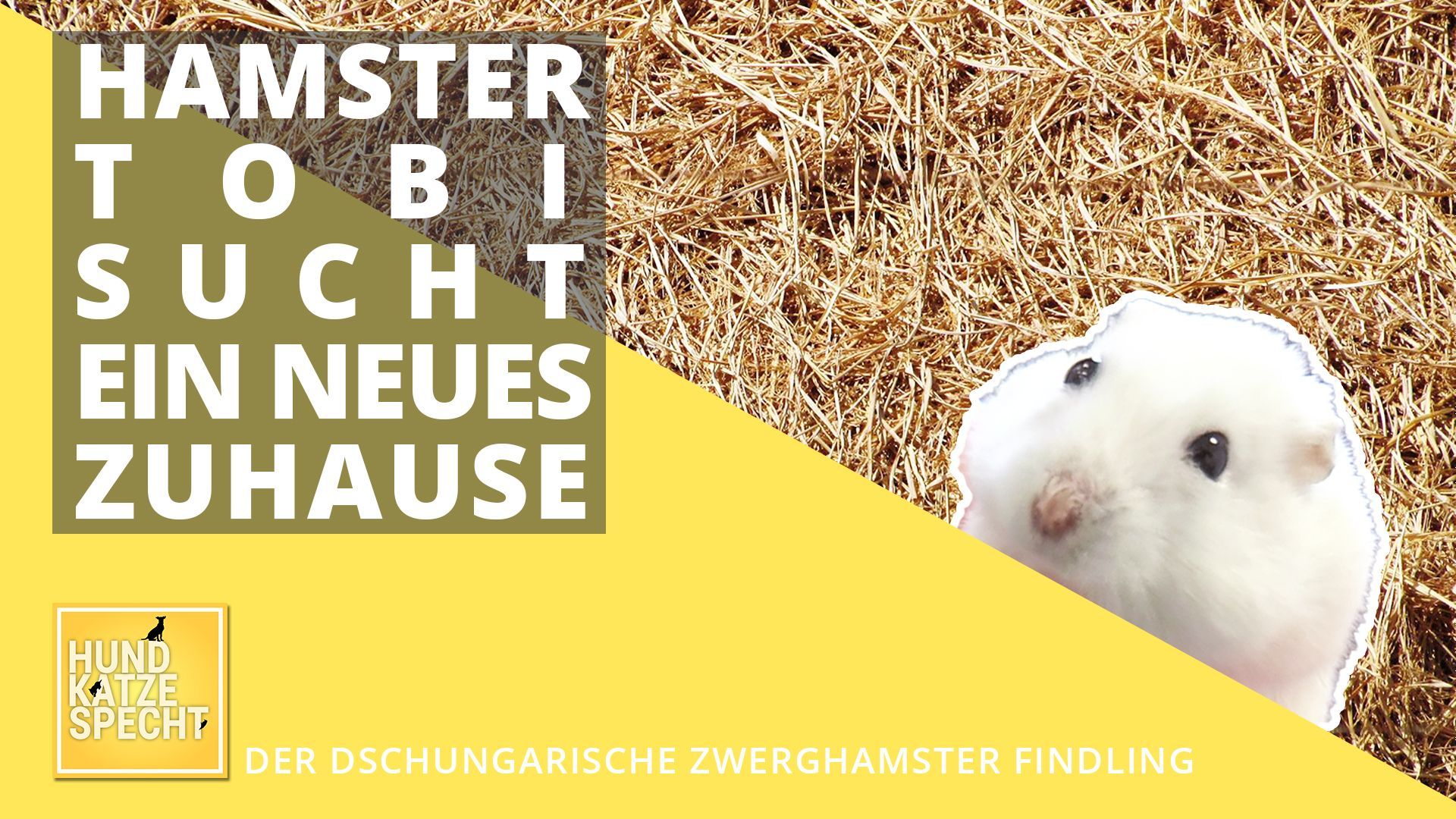 Nager sucht neues Zuhause!