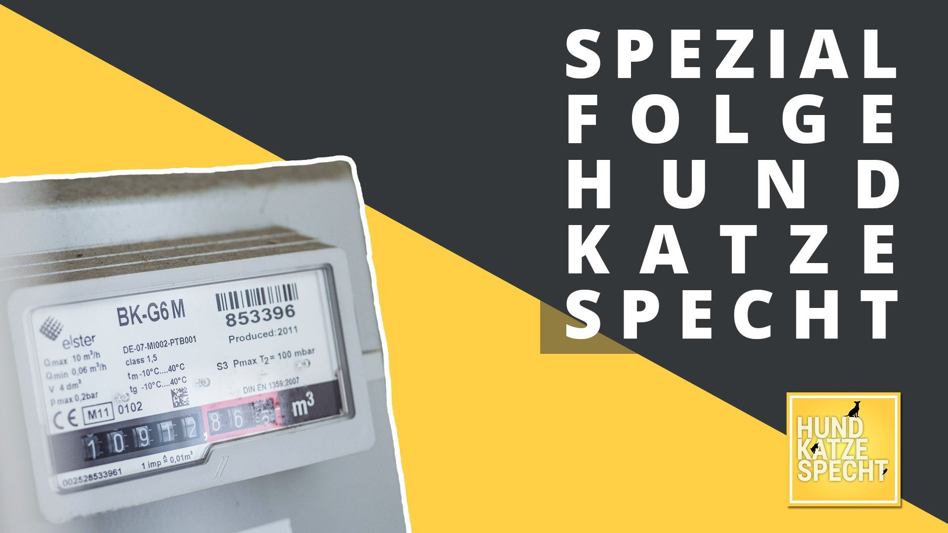 Energiekrise: Wie ergeht es dem Tierheim Koblenz? 