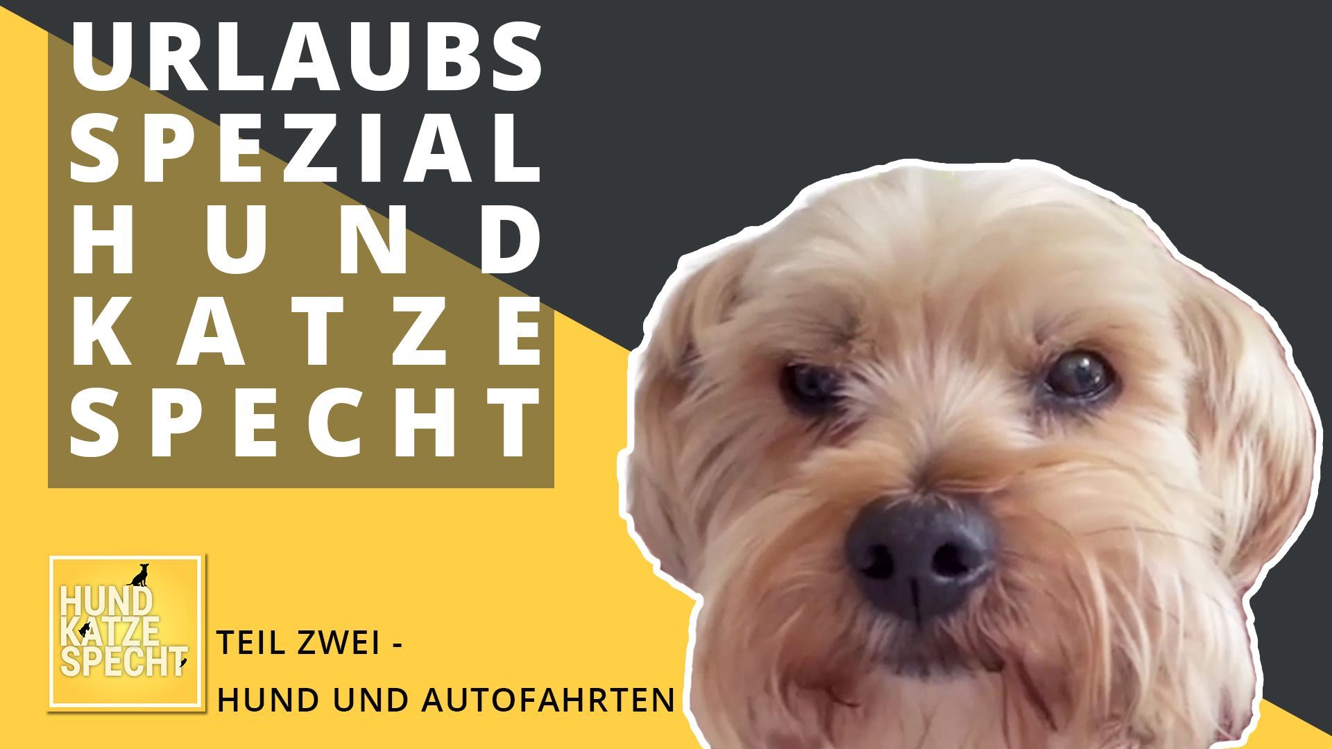 Reisen mit den Vierbeinern ...