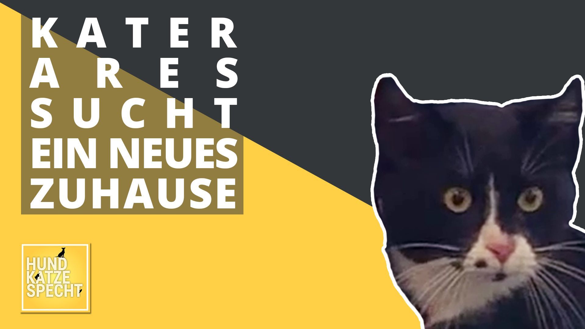 Wurde jemand in der Bahn vergessen?