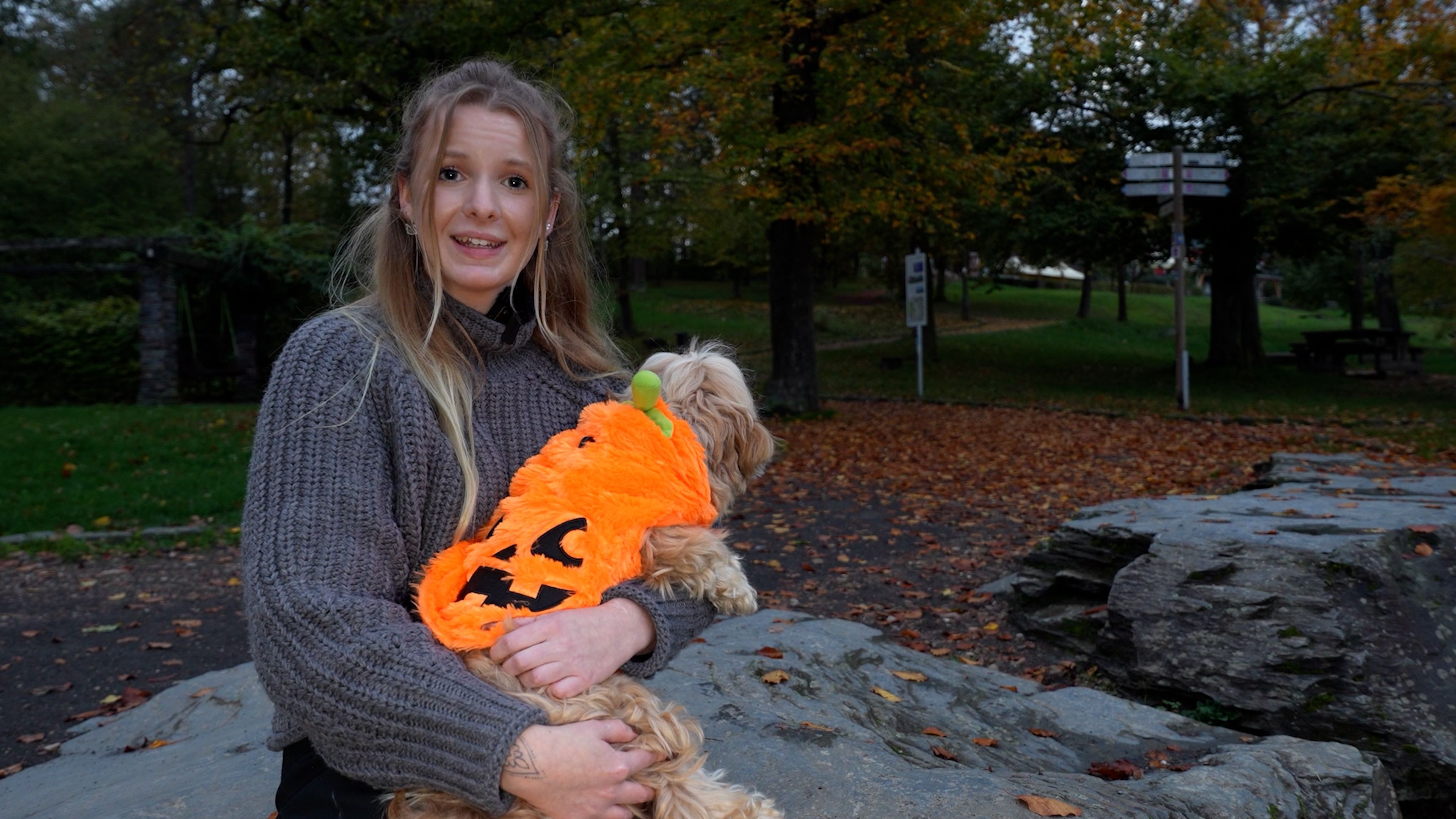 Verschollen an Halloween 