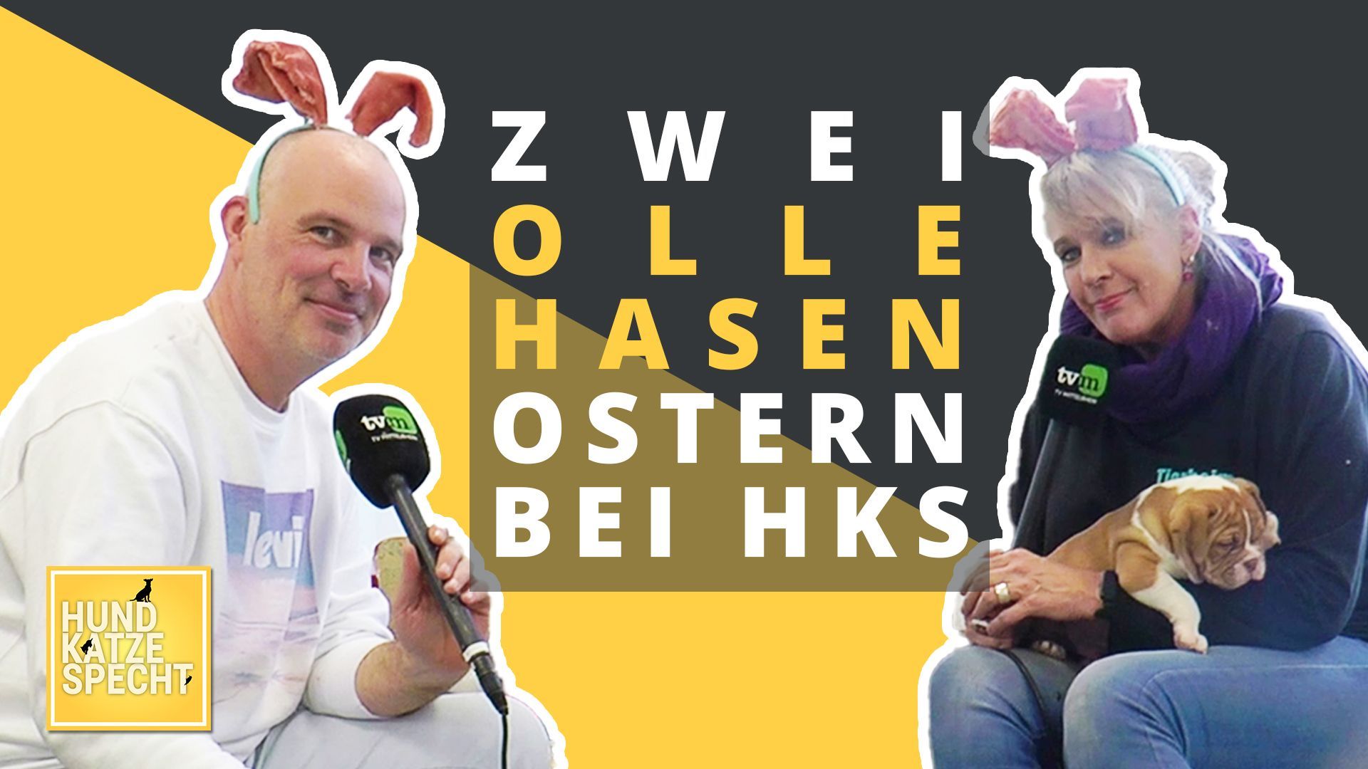 Hund Katze Specht mit zwei ollen Hasen