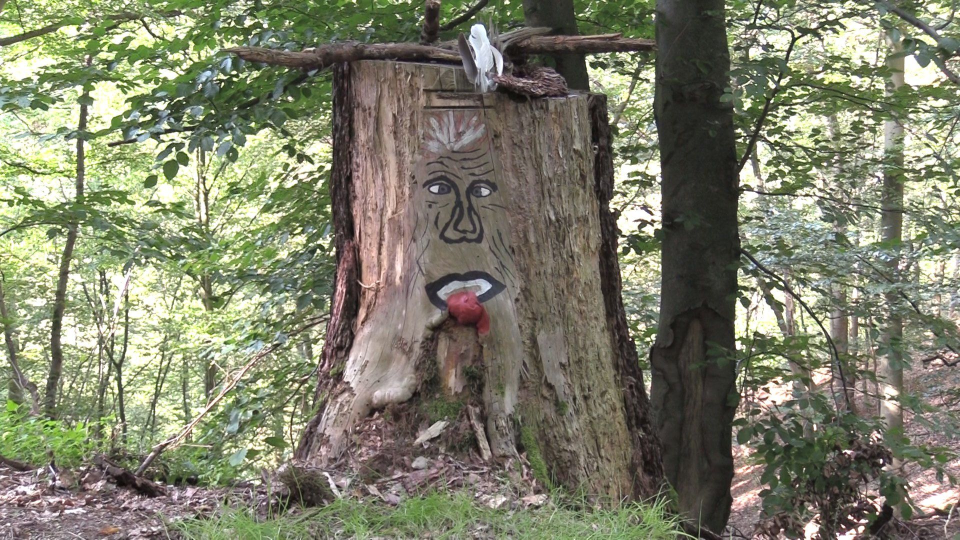 Teufelspeedche in Patersberg eingeweiht: Wunderschöner Wanderweg für Entdecker!