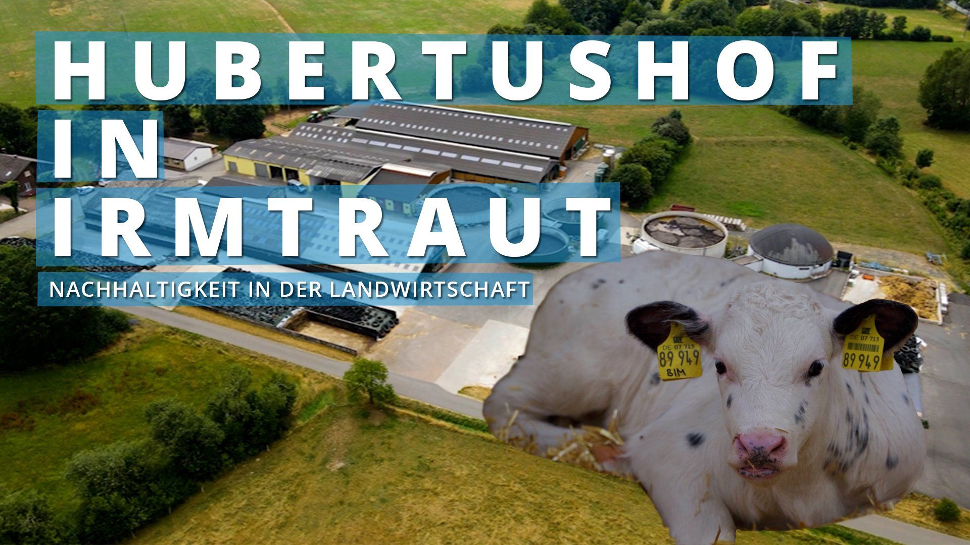 Der Hubertushof in Irmtraut 