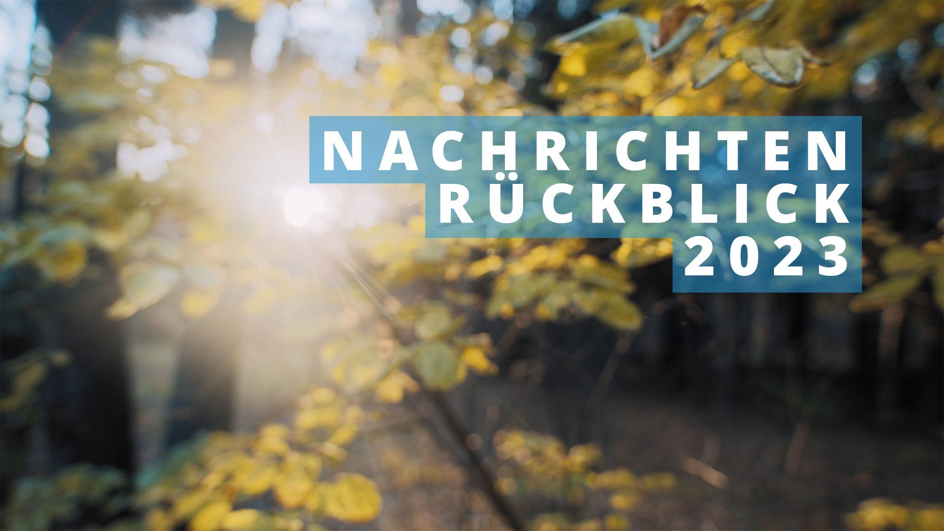 Der Nachrichten-Jahresrückblick aus Ihrer Region