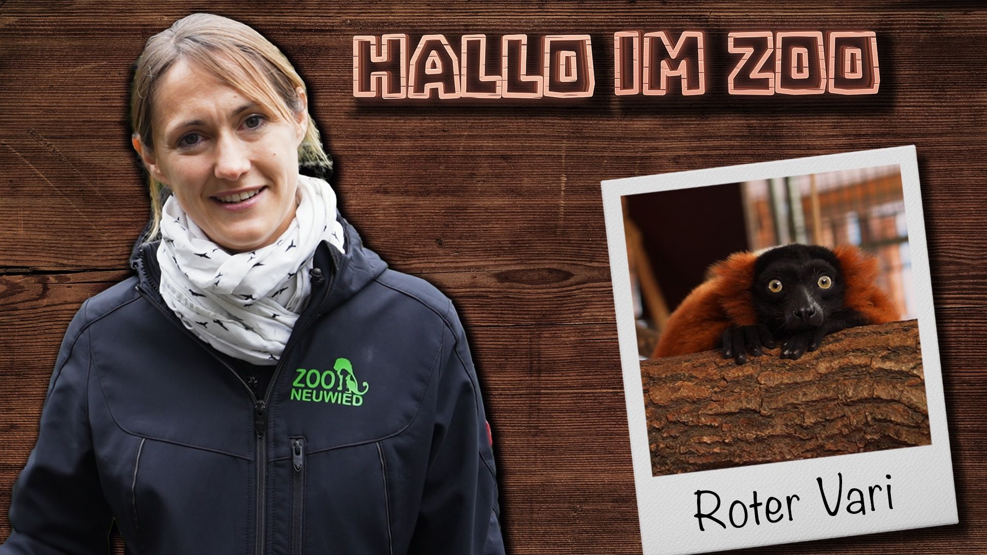 Hallo im Zoo: Mit Tierpfleger Frederick im Gehege der roten Varis 