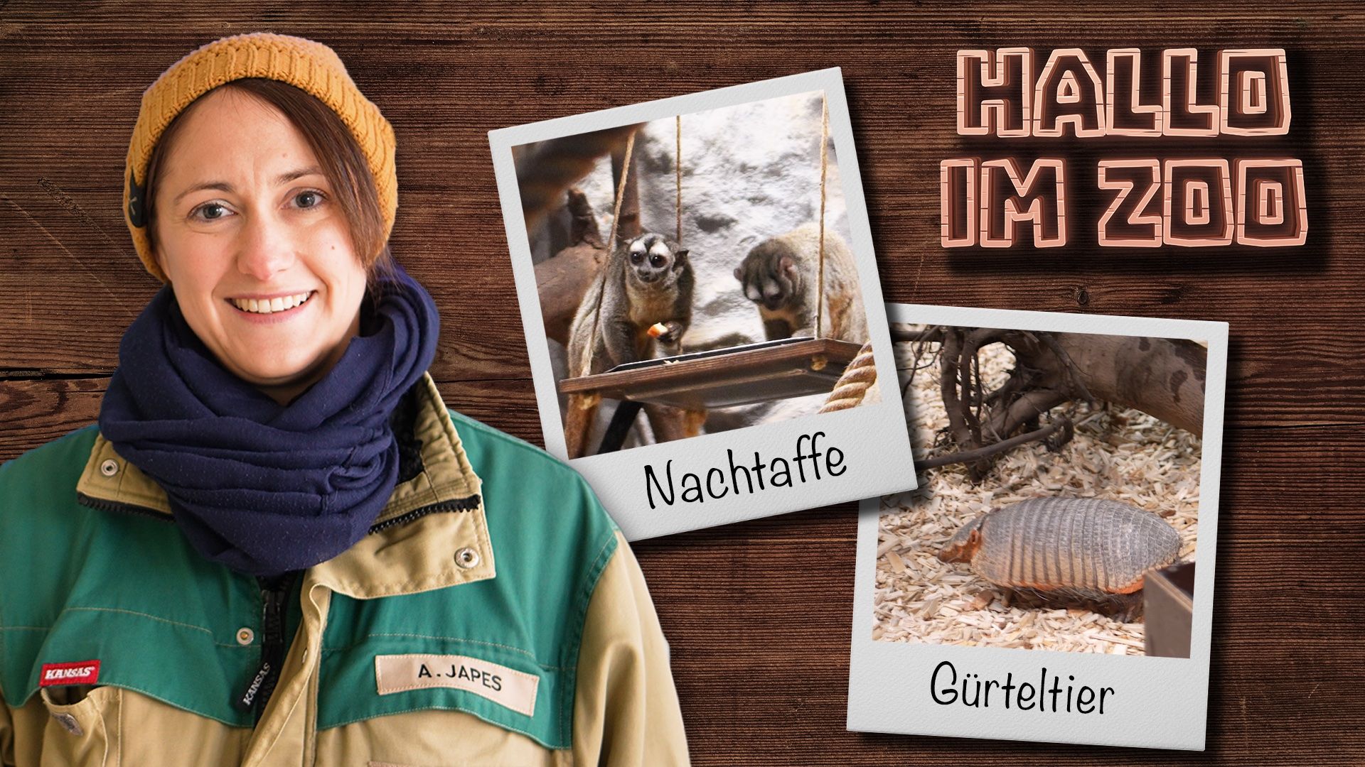 Hallo im Zoo: Von Gürteltiere und Grauhandnachtaffen