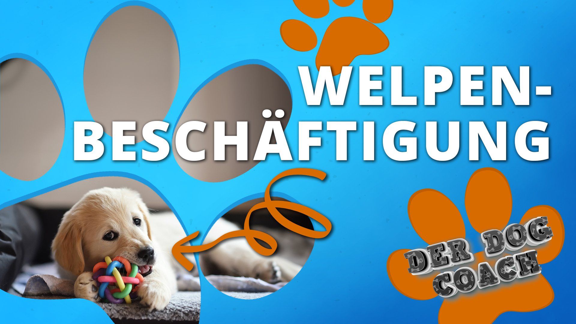 Unser Dog Coach mit den besten Tipps für Welpen und Junghunde