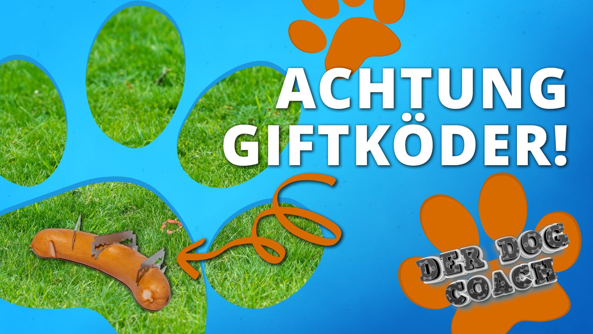 Achtung Giftköder! Hilfe, mein Hund frisst alles vom Boden!