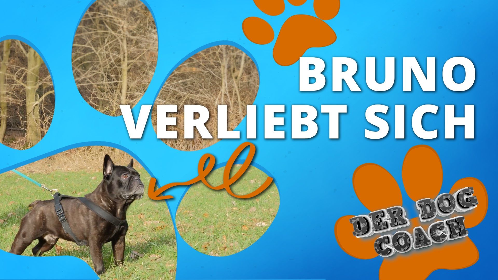 Heute geht's beim Dog Coach rund 