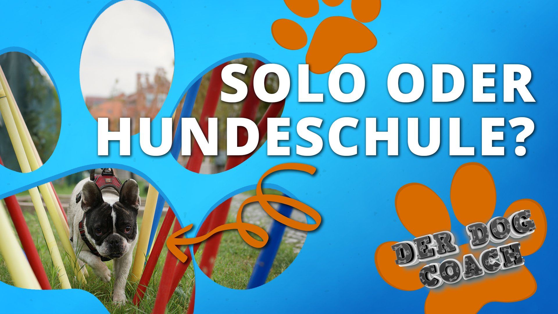 Die wichtigsten Tipps zur Hundeerziehung