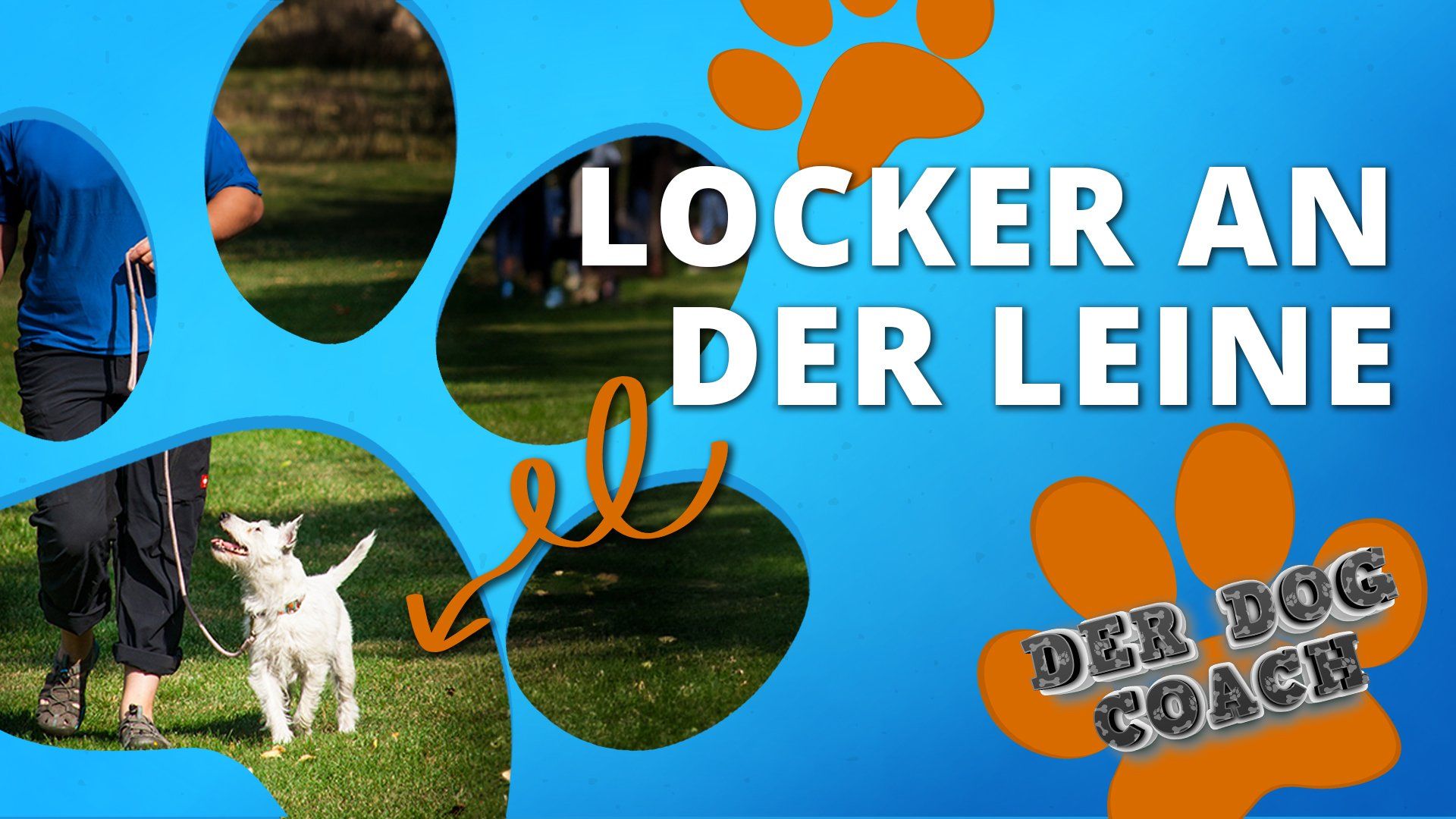 Unser Dog Coach mit hilfreichen Tipps zur Hundeerziehung