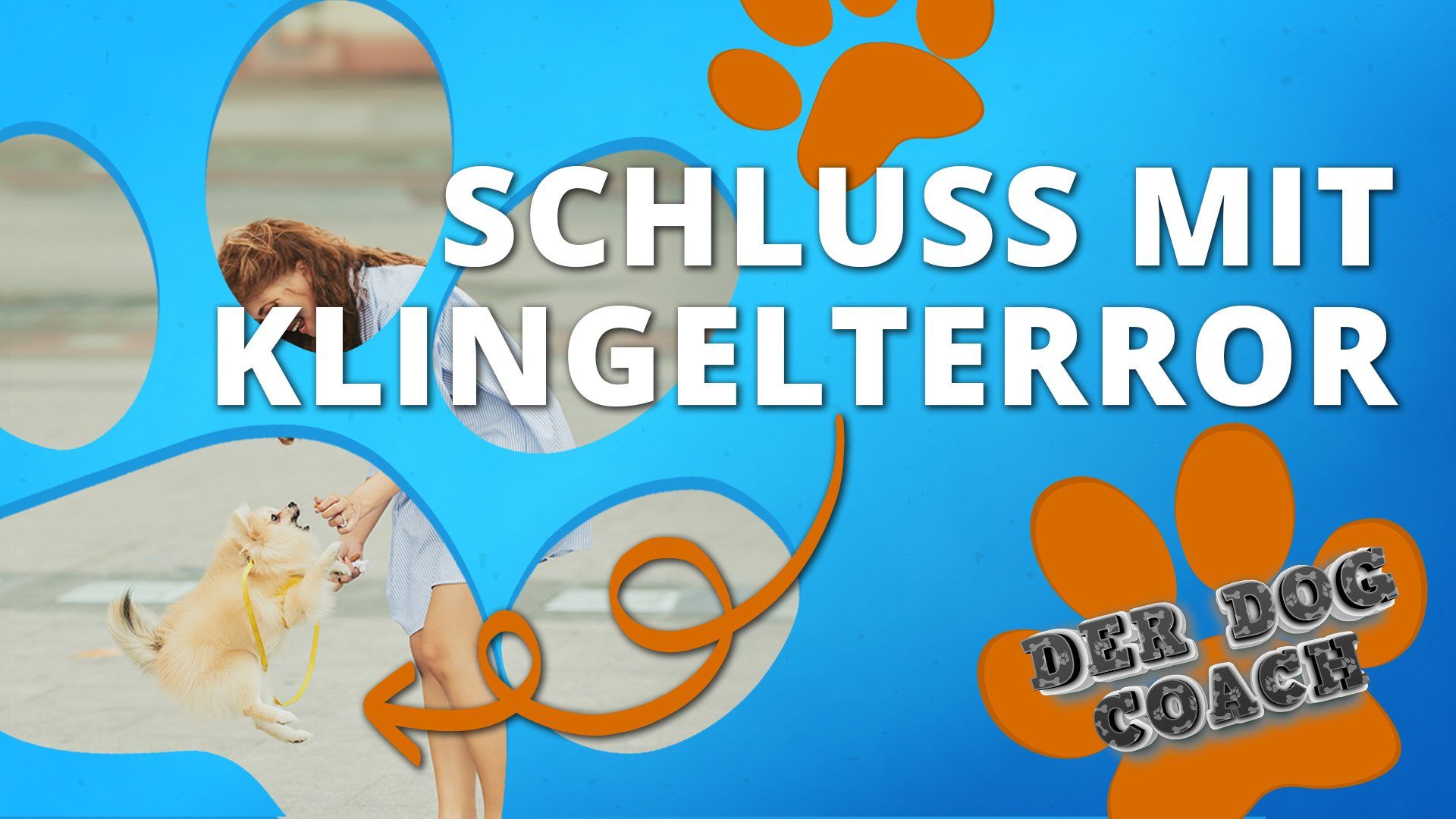 Es klingelt an der Tür und mein Hund übernimmt die Kontrolle