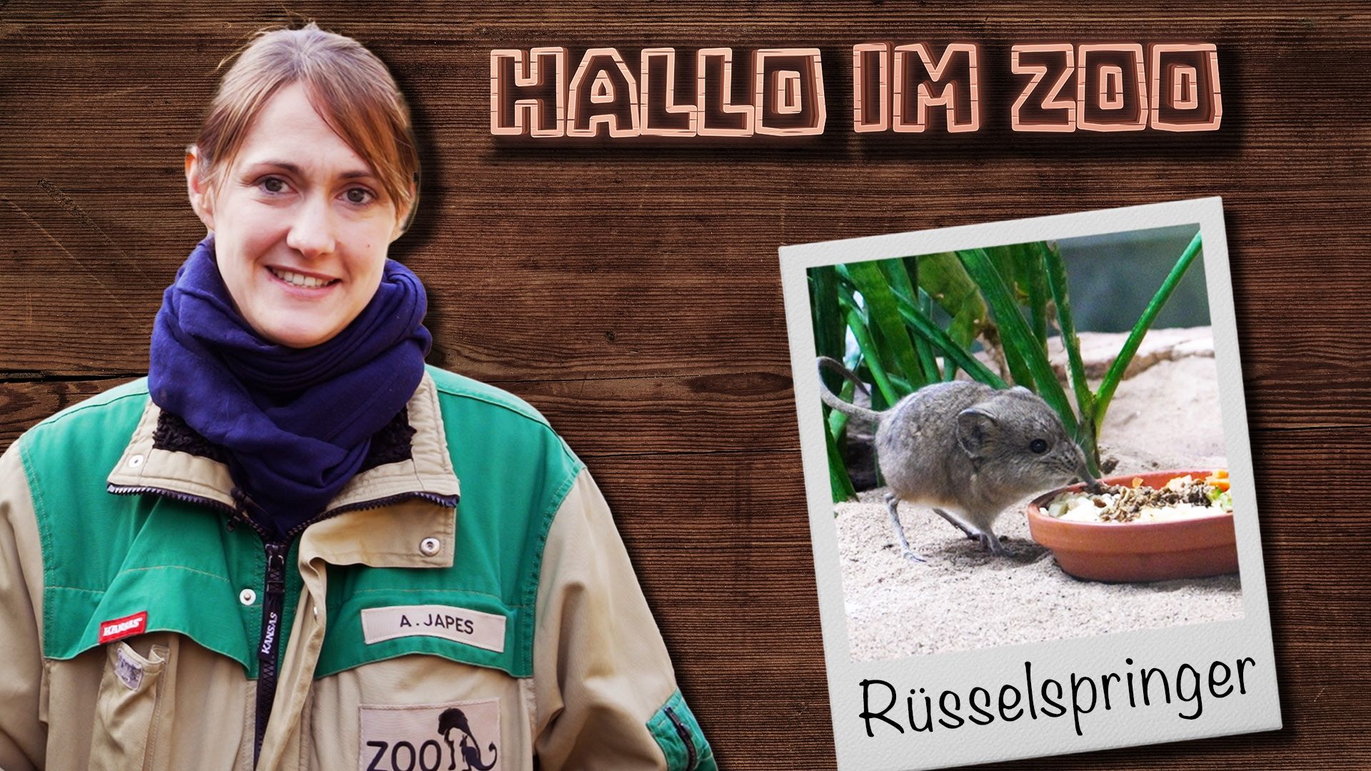 Hallo im Zoo: Rüsselspringer