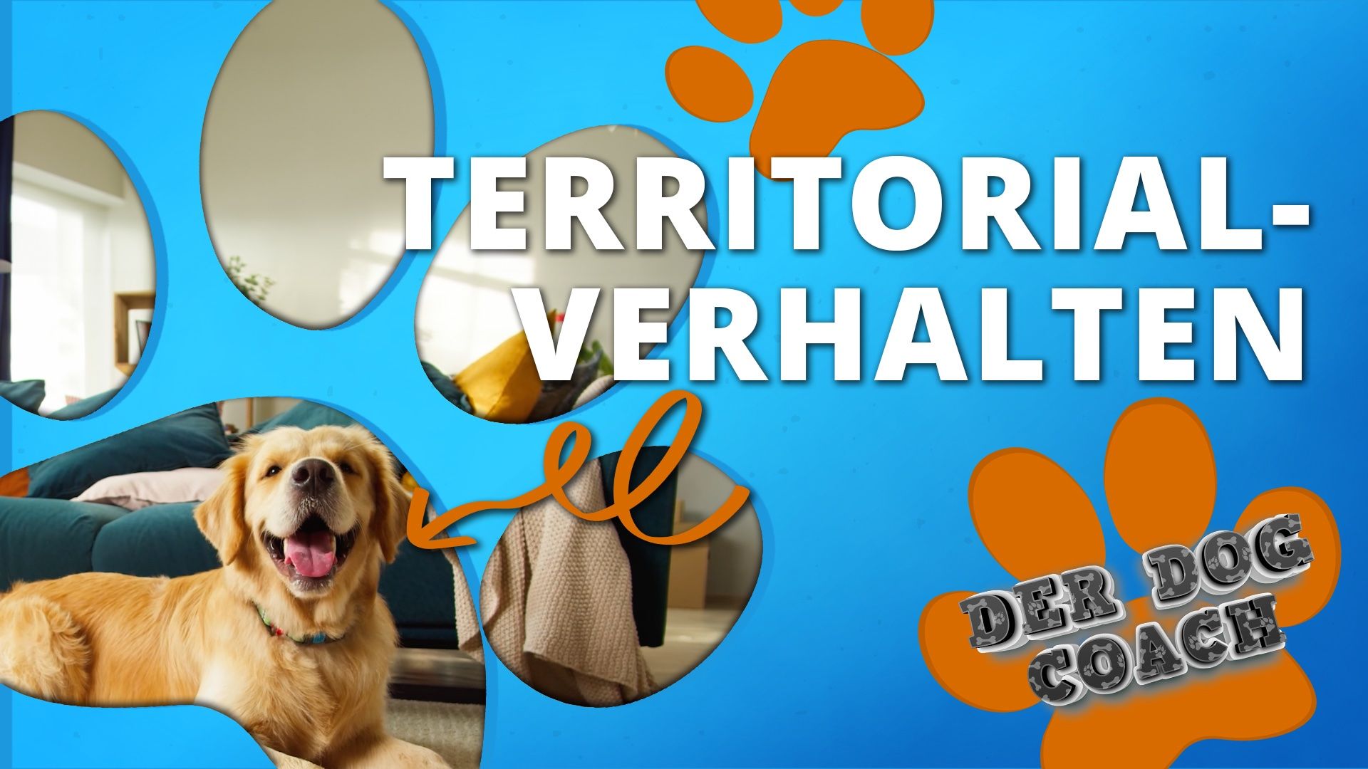 Territoriales Verhalten beim Hund