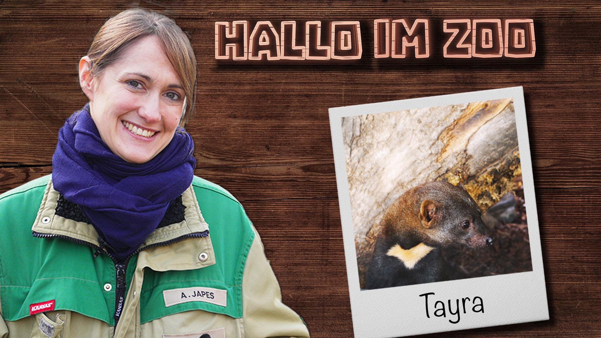 Tayras: So ticken die kleinen Mader
