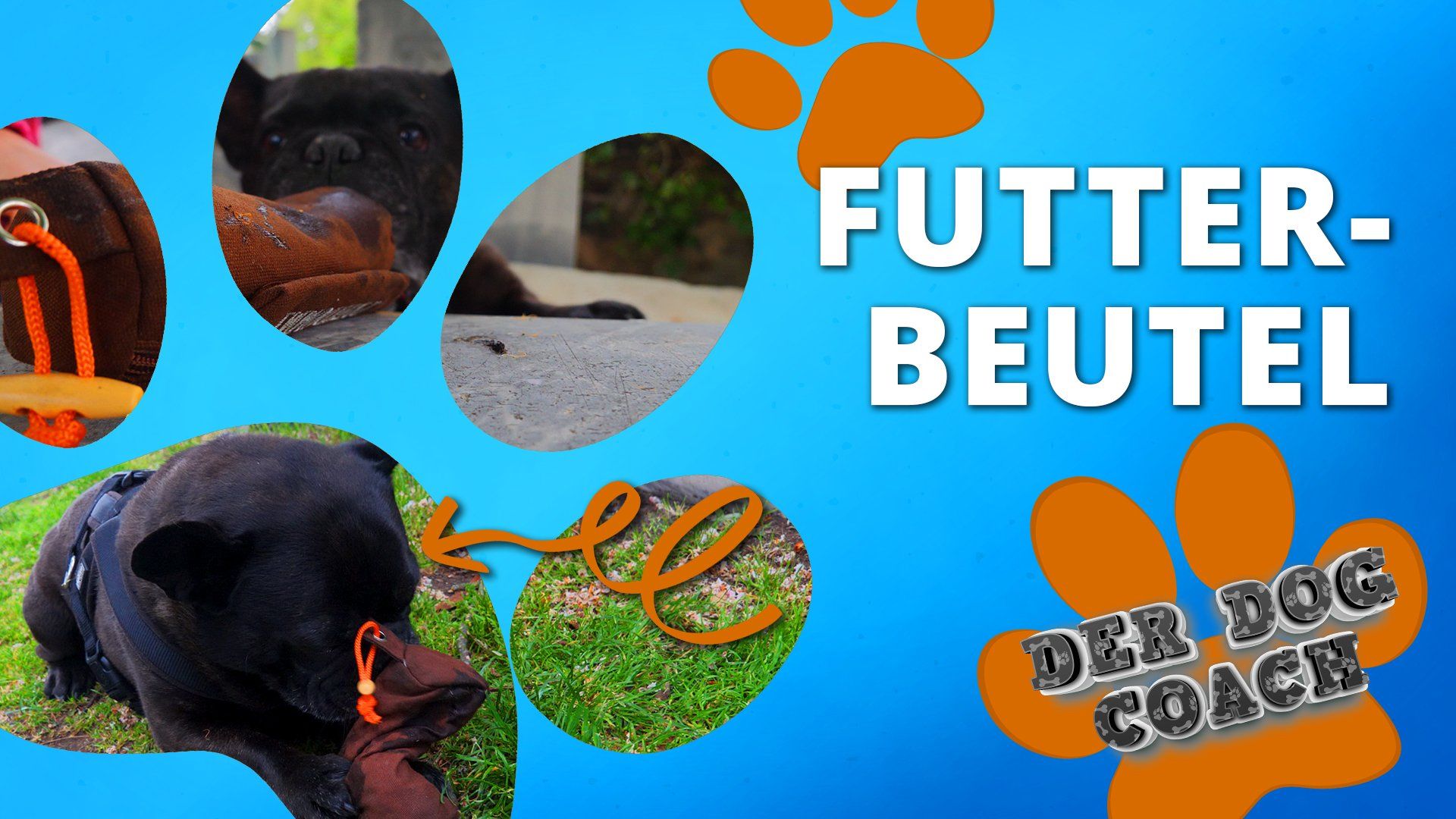 Futterbeutel: Die perfekte Beschäftigung für den Hund