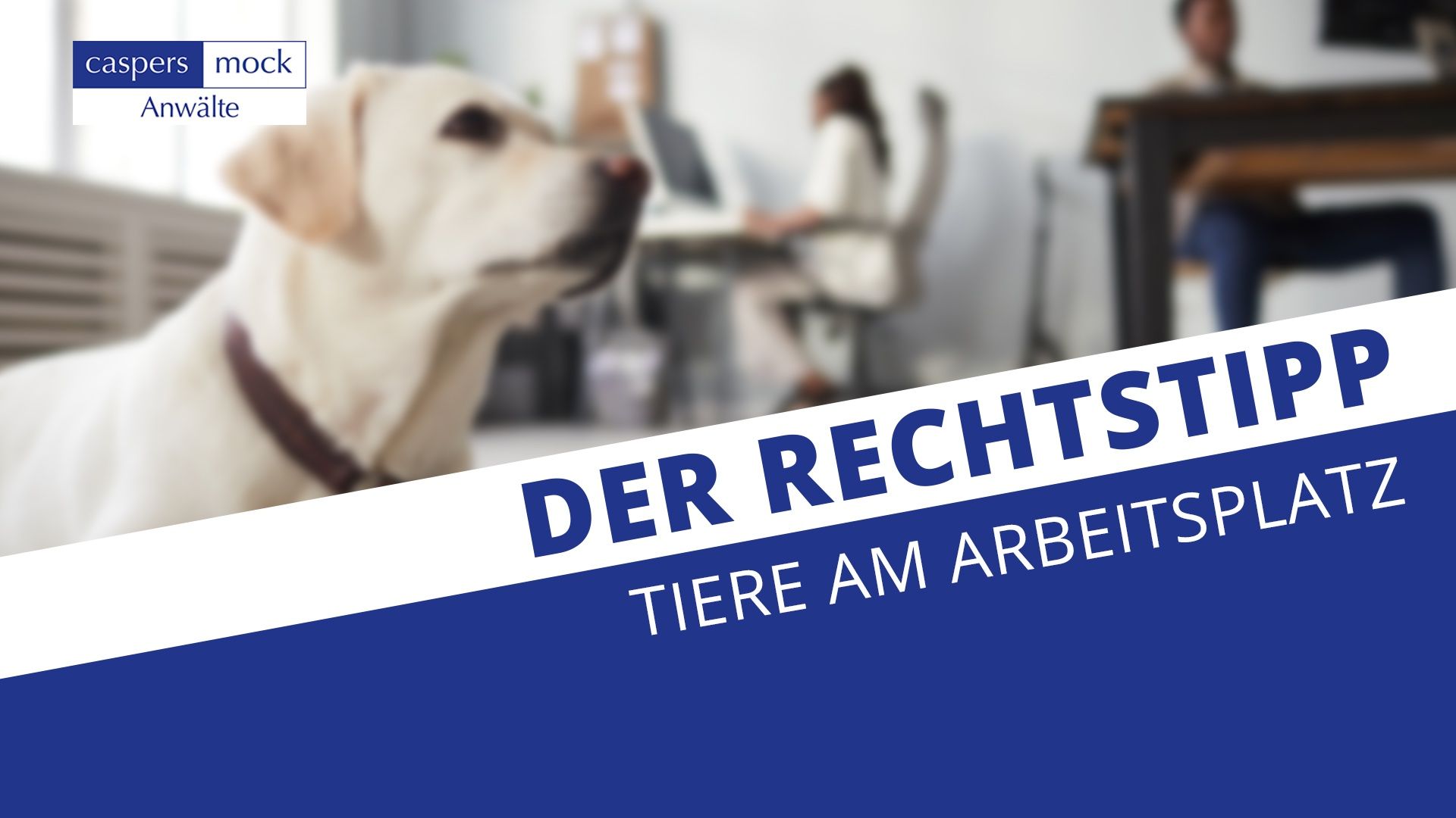 Der Rechtstipp: Tiere am Arbeitsplatz