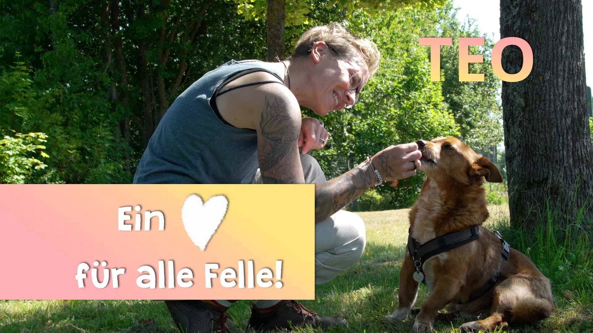 Ein Herz für alle Felle - Teo