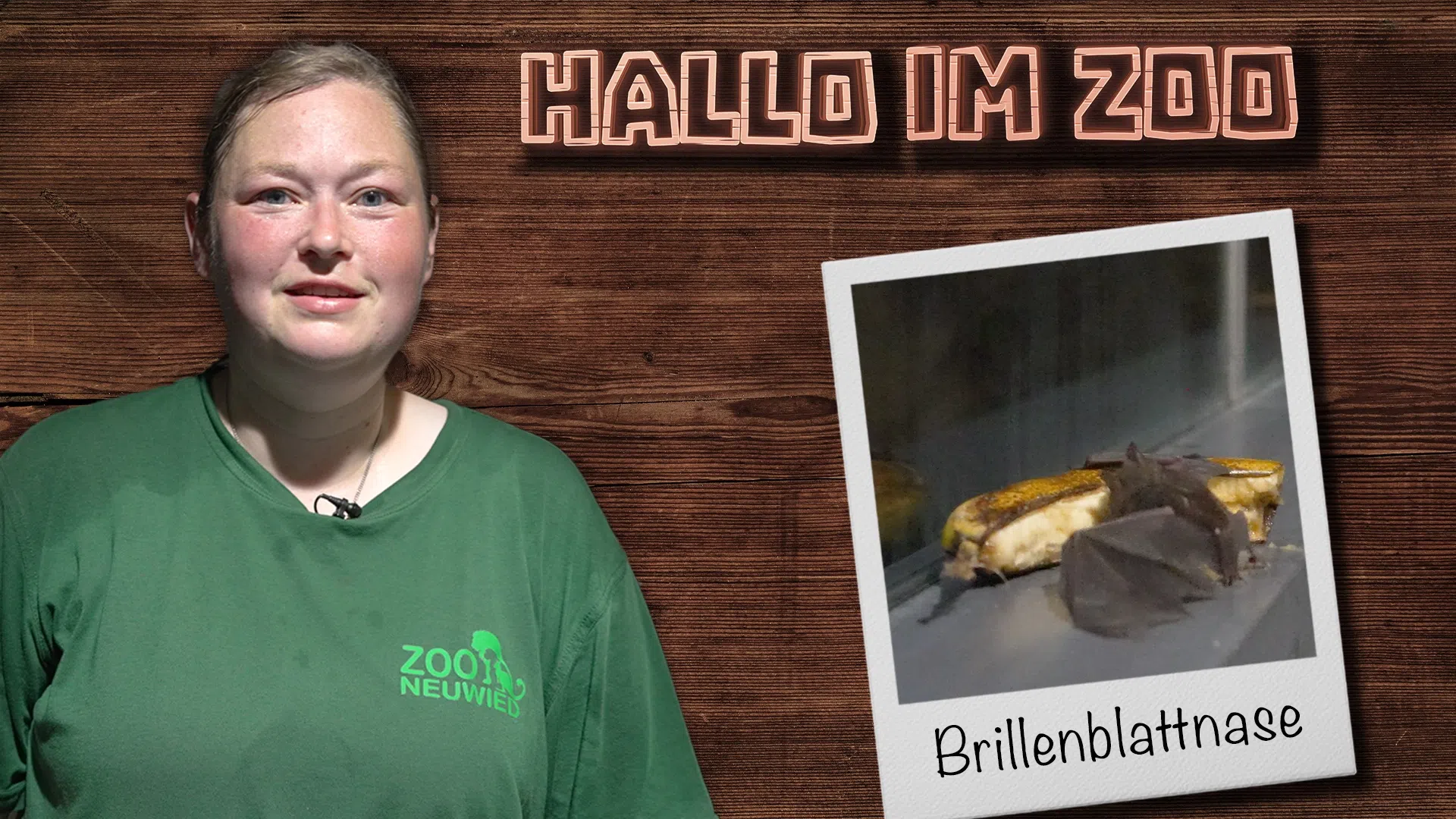Guten Morgen Brillenblattnasen!