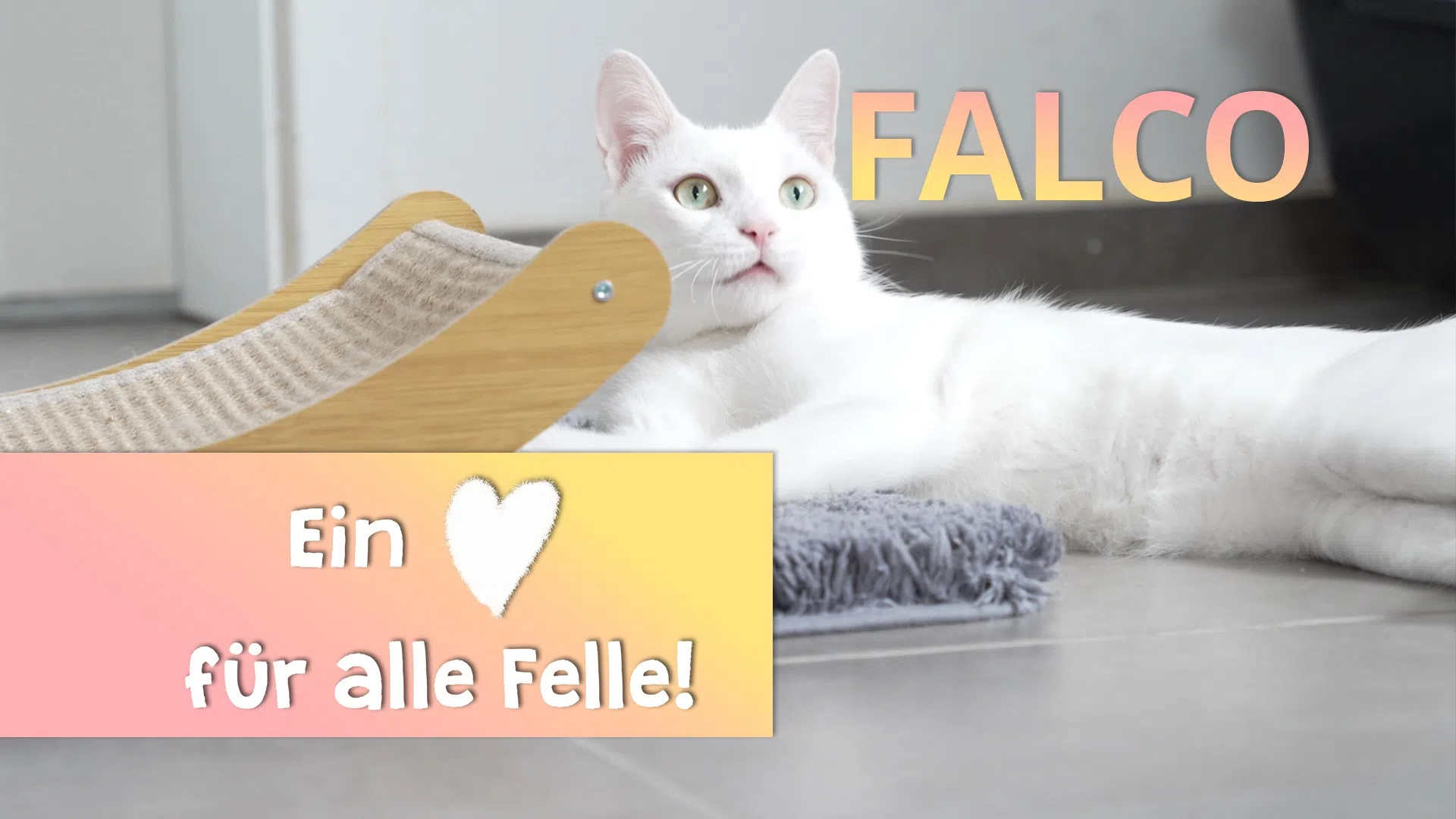 Ein Herz für alle Felle - Falco
