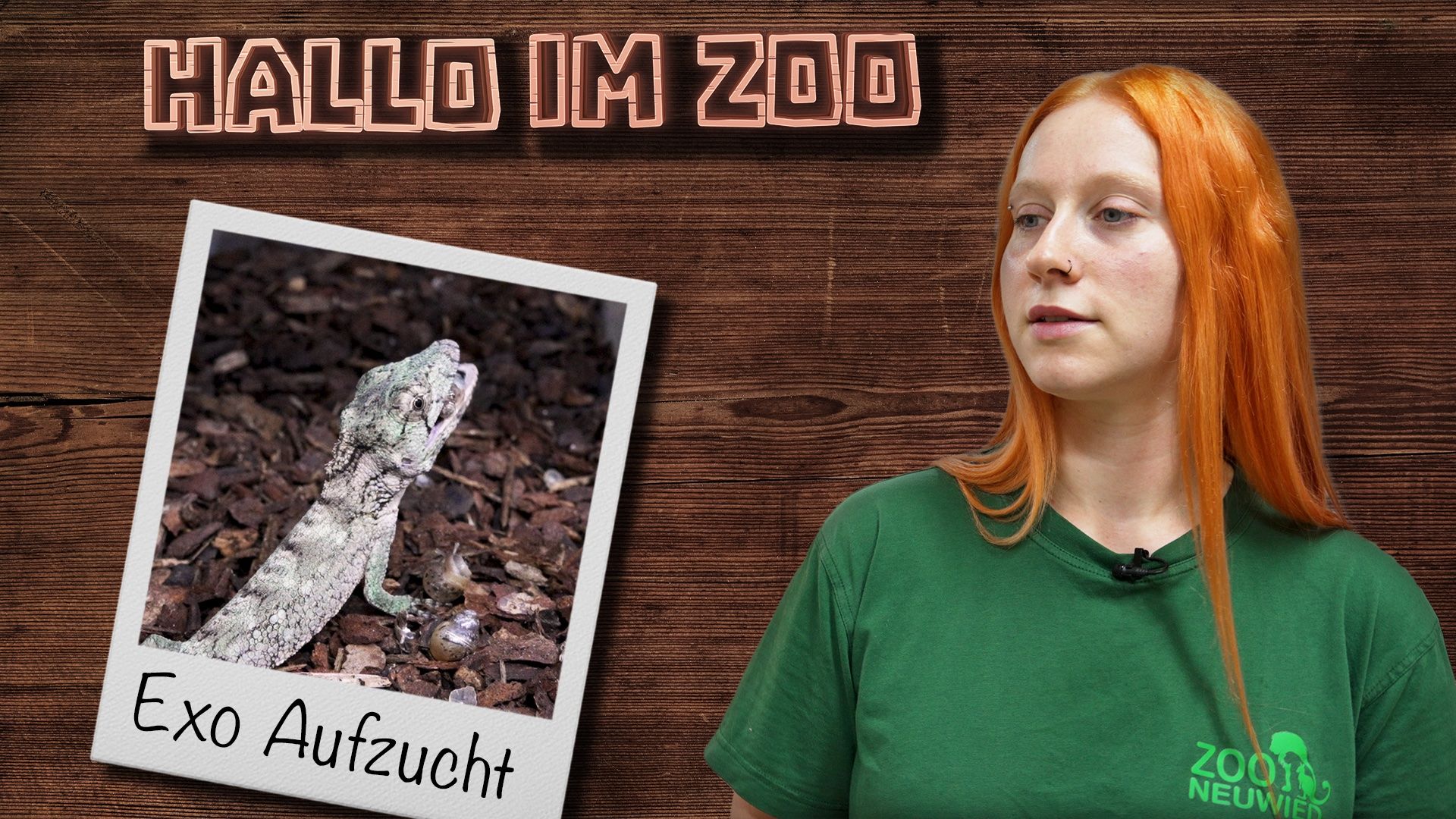 Hinter den Kulissen im Exotarium