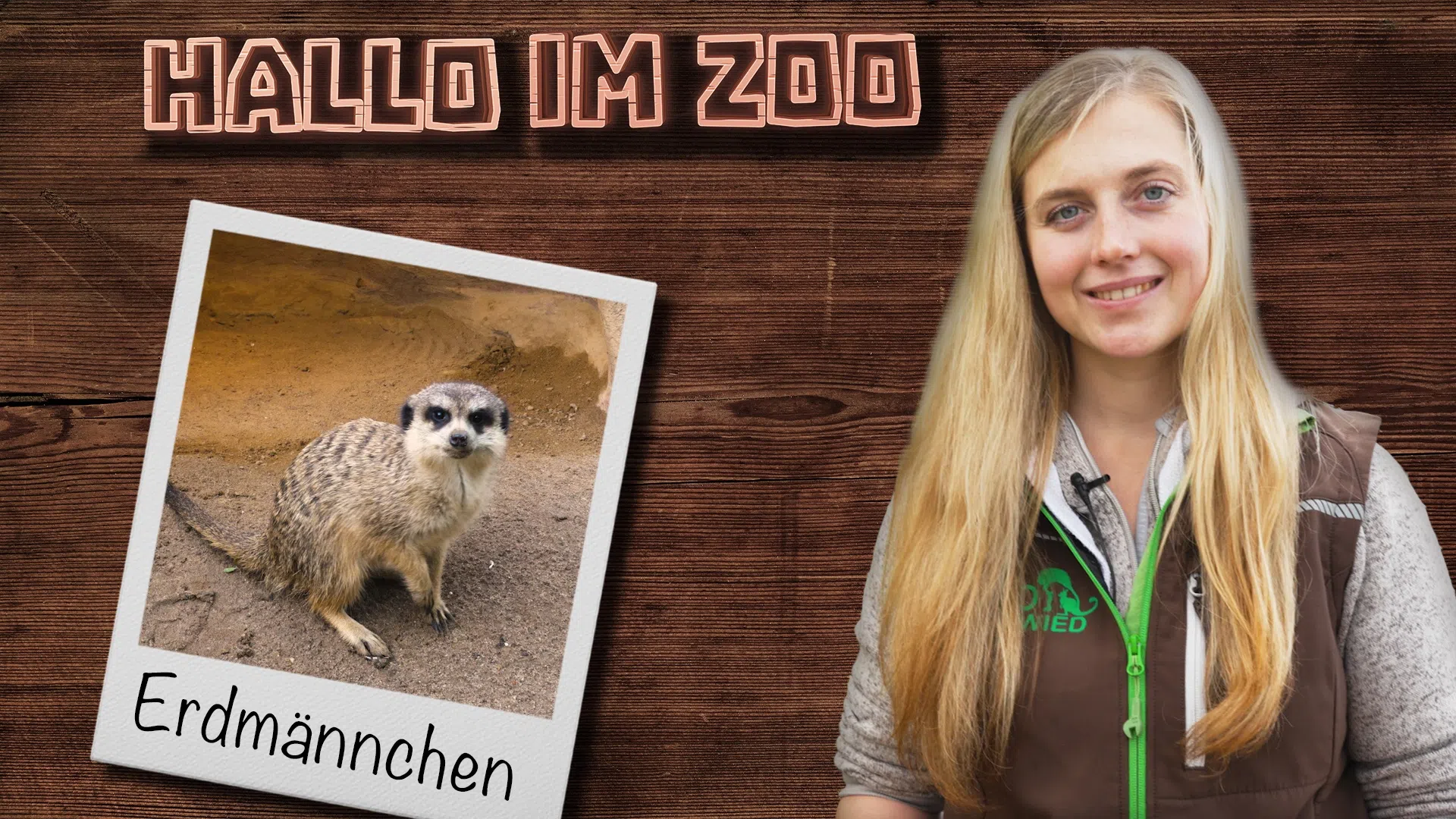 So überstehen Erdmännchen den deutschen Winter! So überstehen Erdmännchen den deutschen Winter!