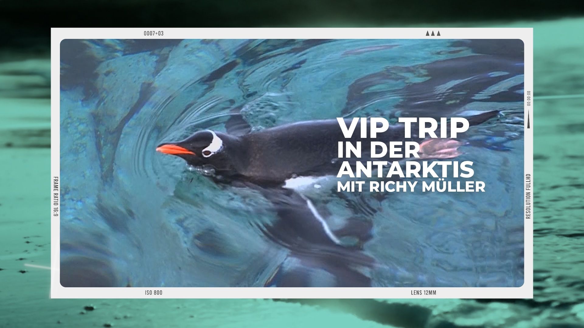 VIP-Trip | In der Antarktis 2 mit Richy Müller