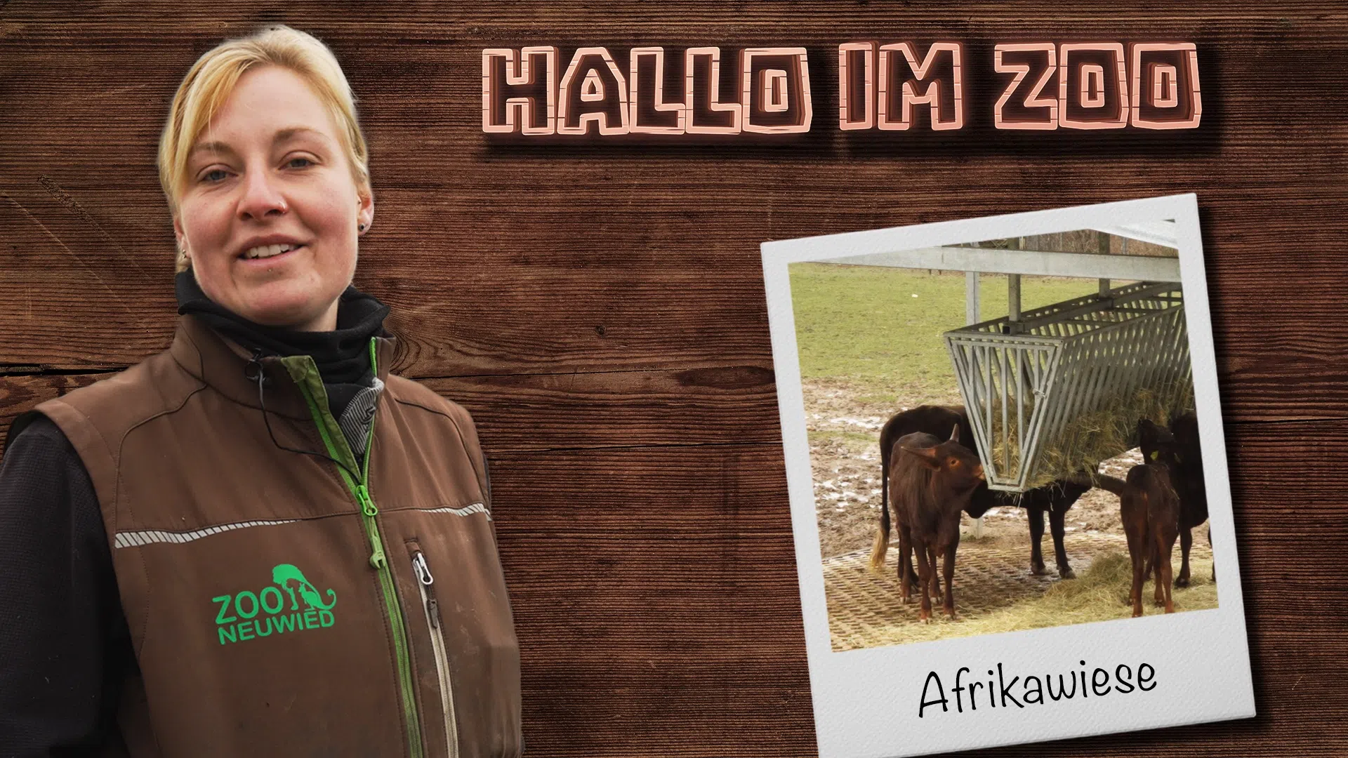 Wo sind die Tiere hin? | Warum die Afrikawiese im Winter oft leer steht