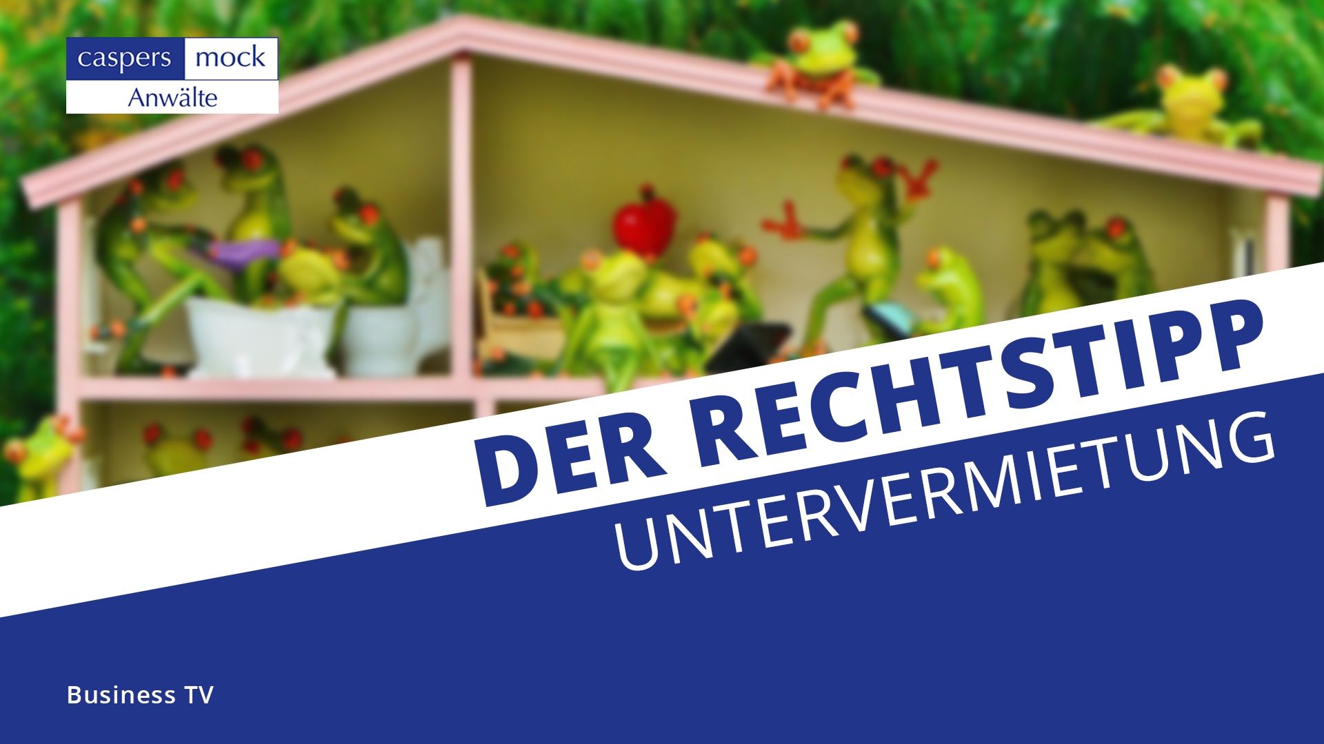 Business TV | Ein erster Einstieg ins Thema Untervermietung