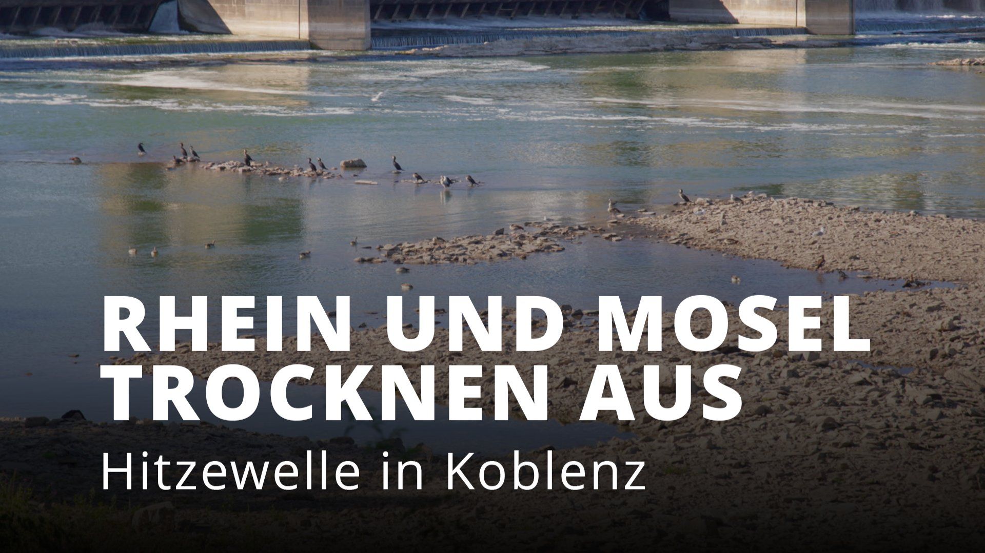 Niedrigwasser in Koblenz: Wenn Rhein und Mosel austrocknen