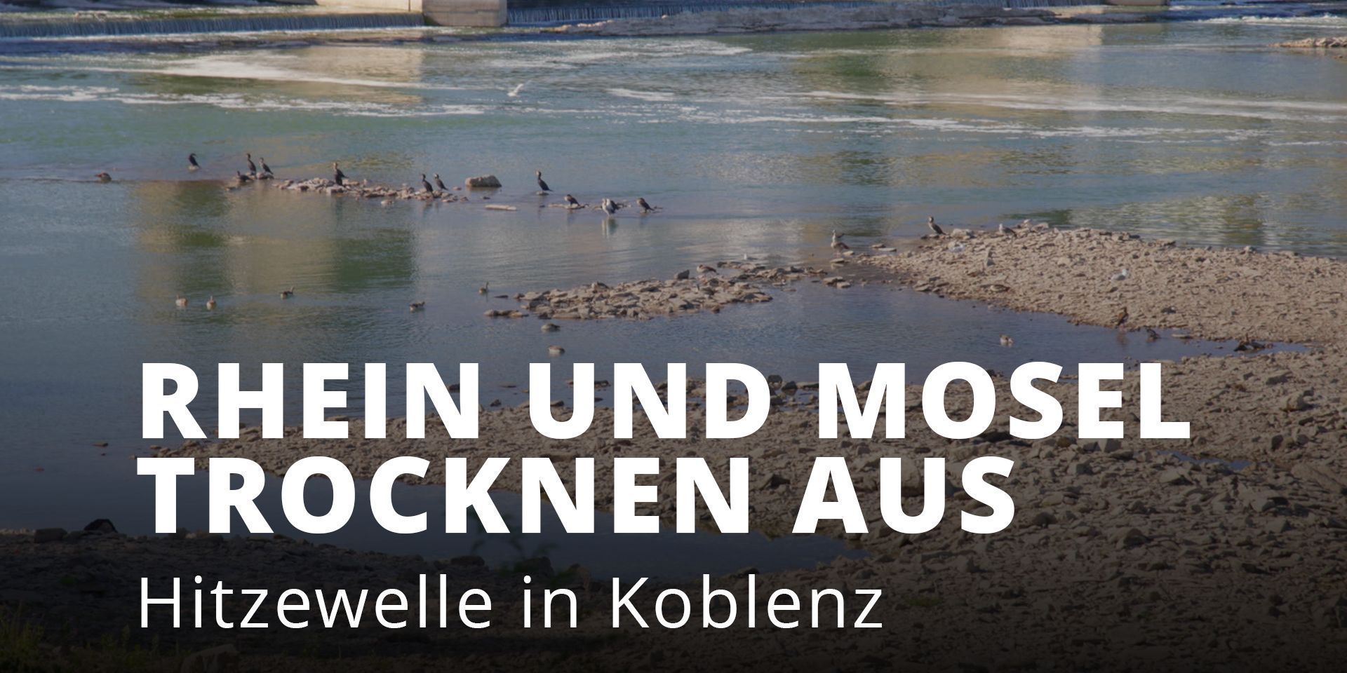 Aktuell