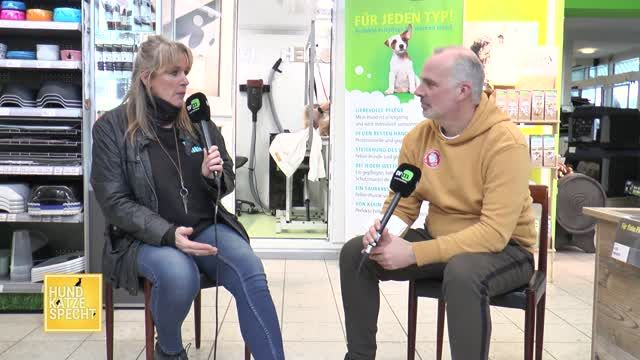 Neue Folge: Hund Katze Specht