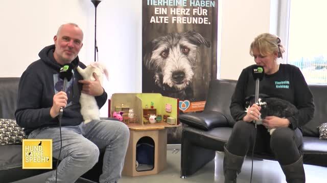 Neue Folge: Hund Katze Specht