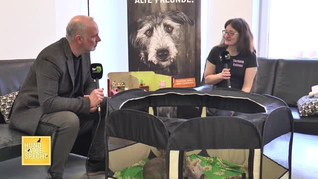 Hunde Katze Specht  | 12.03.22