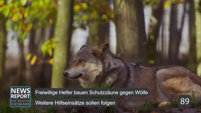Die Top-Nachrichten des Tages | 14.04.2022