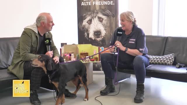 Hund Katze Specht aus dem Tierheim Koblenz