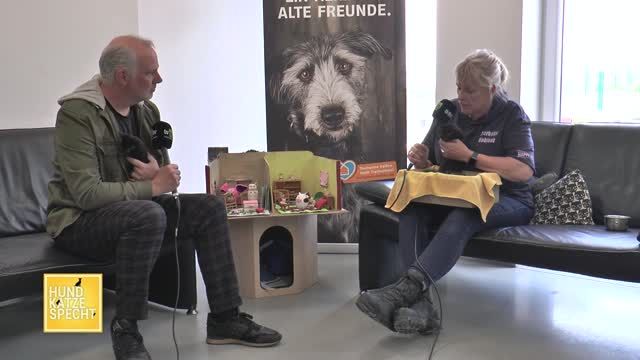 Hund Katze Specht aus dem Tierheim Koblenz