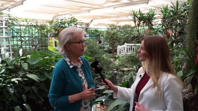 Schmetterlinge im Schlossgarten Sayn