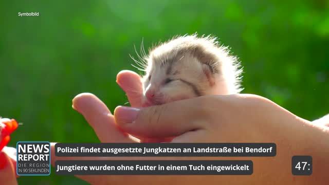 Die Top-Nachrichten des Tages | 23.06.2022