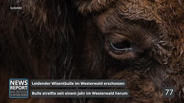Die Top-Nachrichten des Tages | 24.06.2022