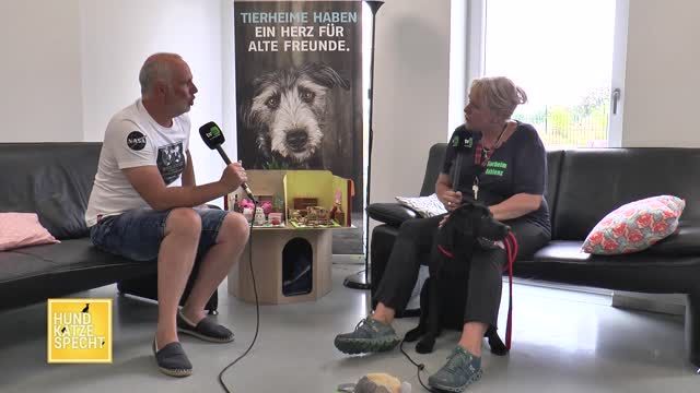 Hund Katze Specht aus dem Tierheim Koblenz
