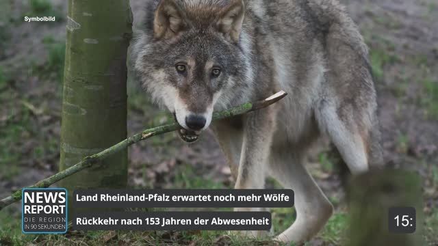 Die Top-Nachrichten des Tages | 16.11.2022