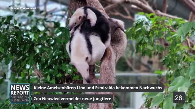 Die Top-Nachrichten des Tages | 24.11.2022