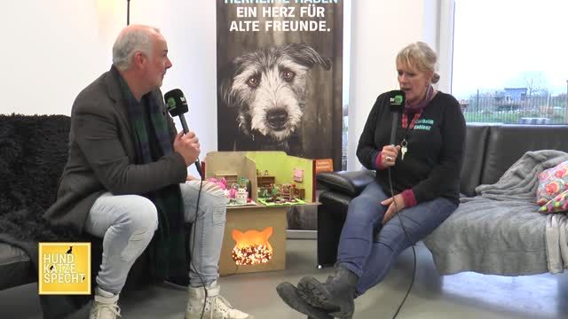 Hund Katze Specht Spezial: Wildvögel füttern