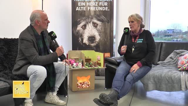 Hund Katze Specht Spezial: Wildvögel richtig füttern