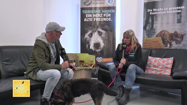Hund Katze Specht aus dem Tierheim Koblenz